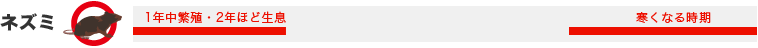 ネズミ/寒くなる時期・1年中繁殖・2年ほど生息